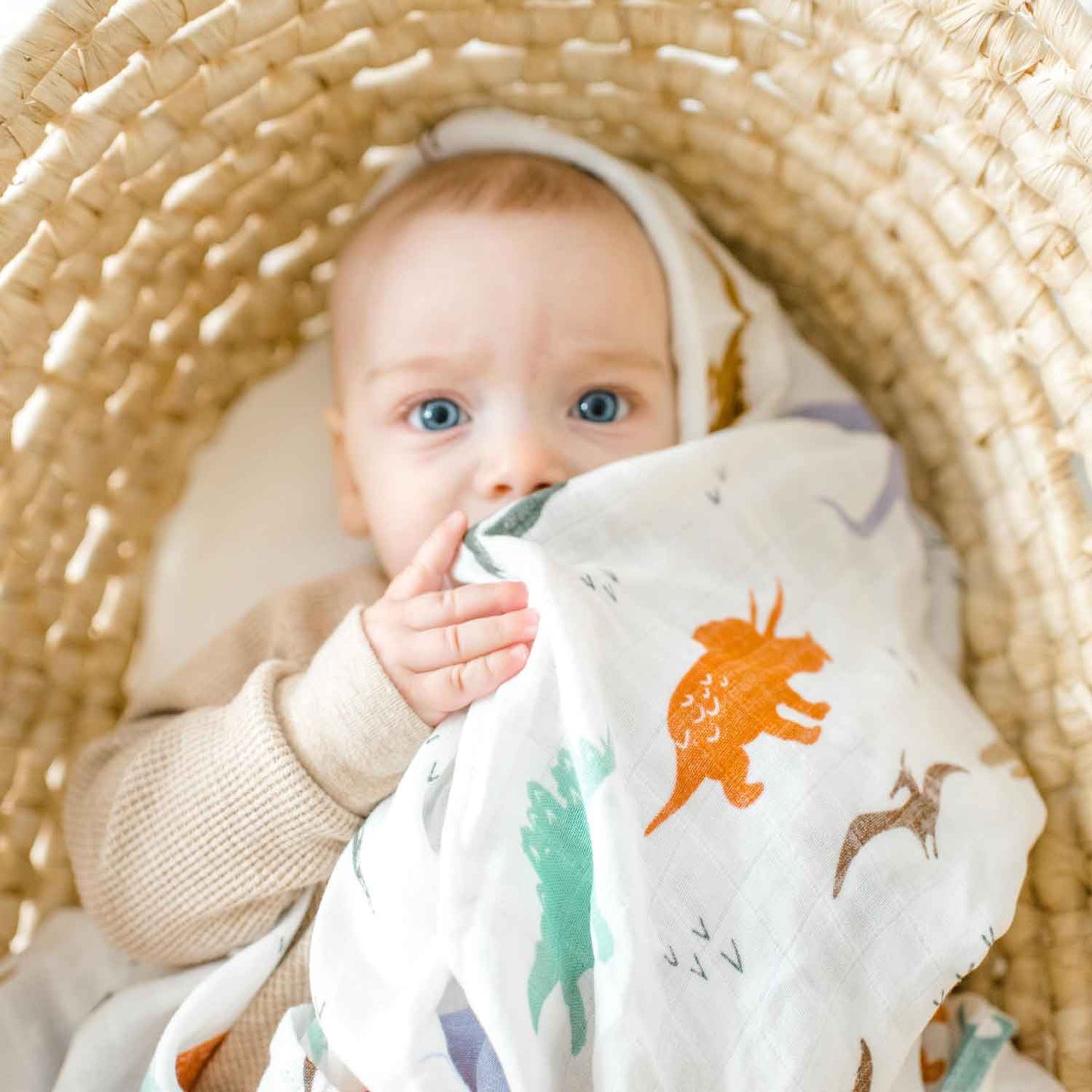 bamboo muslin swaddle|dinosaur