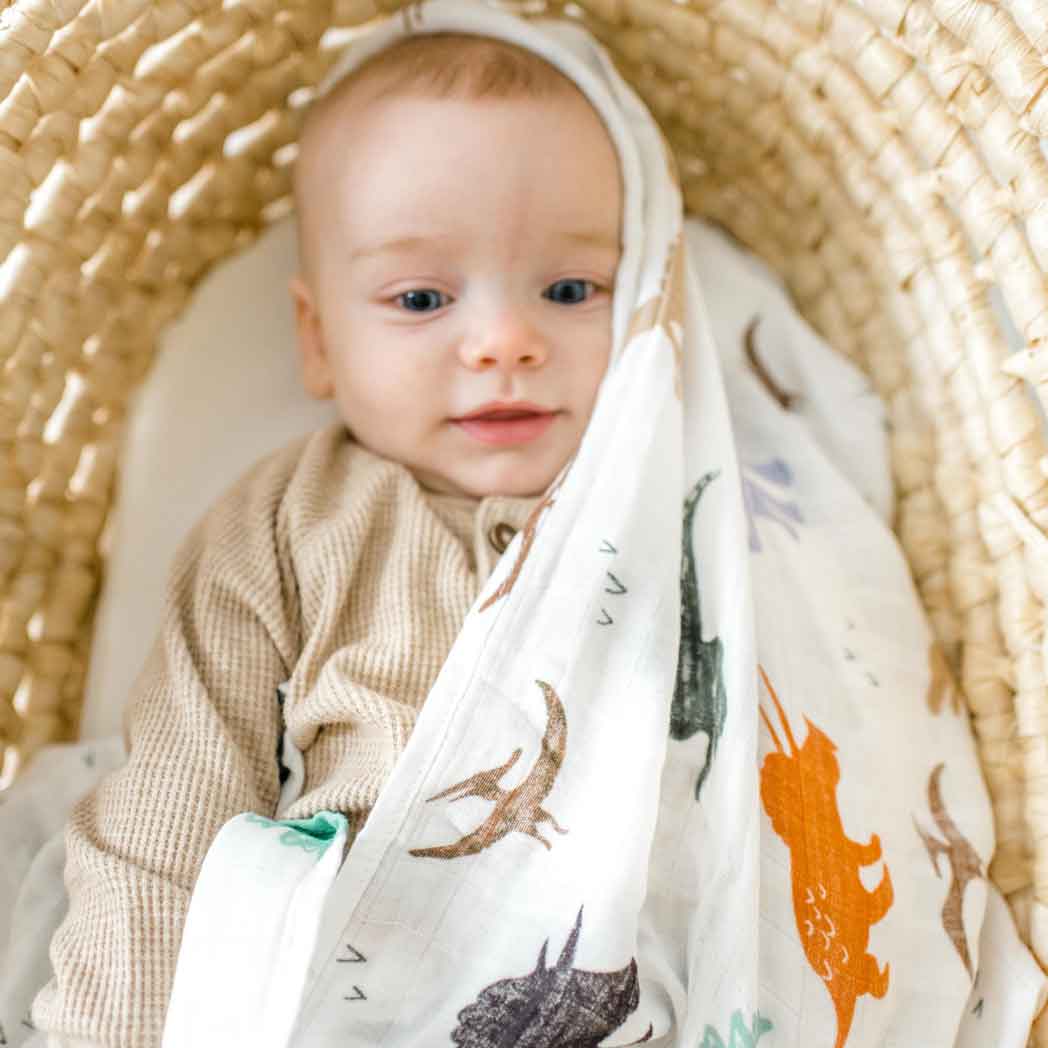 bamboo muslin swaddle|dinosaur